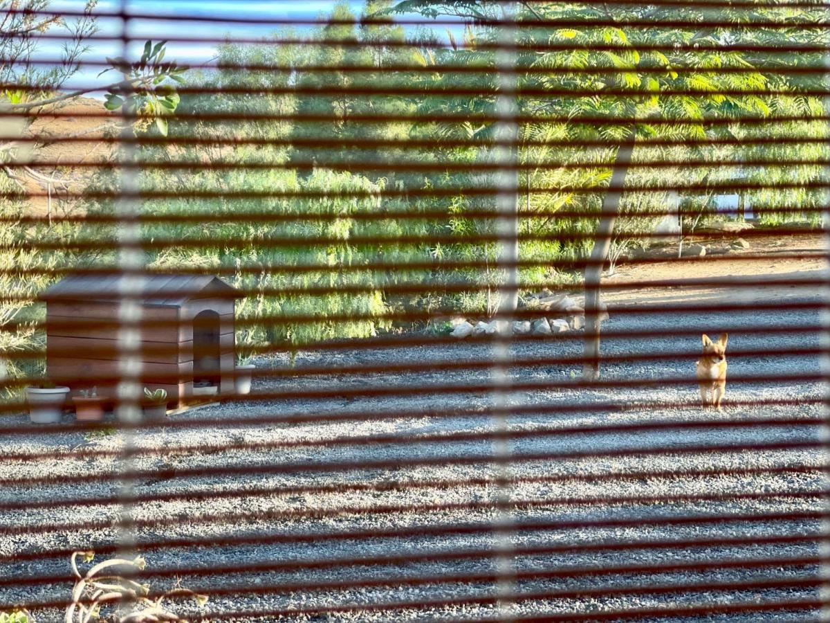 La Casita Del Mojino Lägenhet Betancuría Exteriör bild