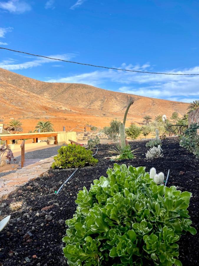 La Casita Del Mojino Lägenhet Betancuría Exteriör bild