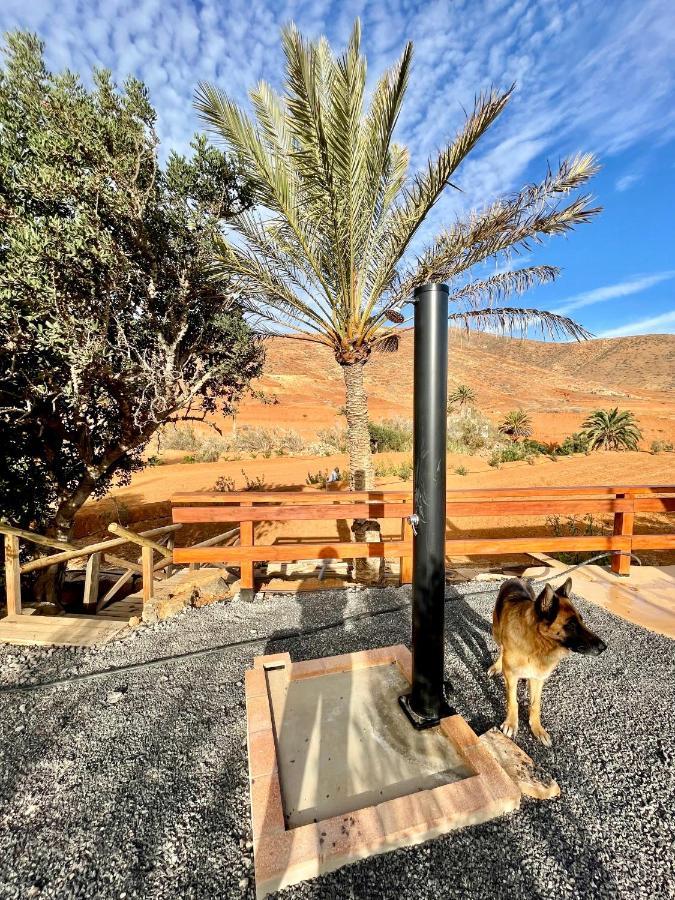 La Casita Del Mojino Lägenhet Betancuría Exteriör bild